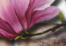 Cadre mural Nature rose (1 pièce) - Fleurs de magnolia sur fond géométrique 48476 additionalThumb 4