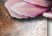 Cadre mural Nature rose (1 pièce) - Fleurs de magnolia sur fond géométrique 48476 additionalThumb 3