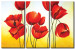 Obraz Taniec tulipanów (3-częściowy) - natura z kwiatami na dwukolorowym tle 48676