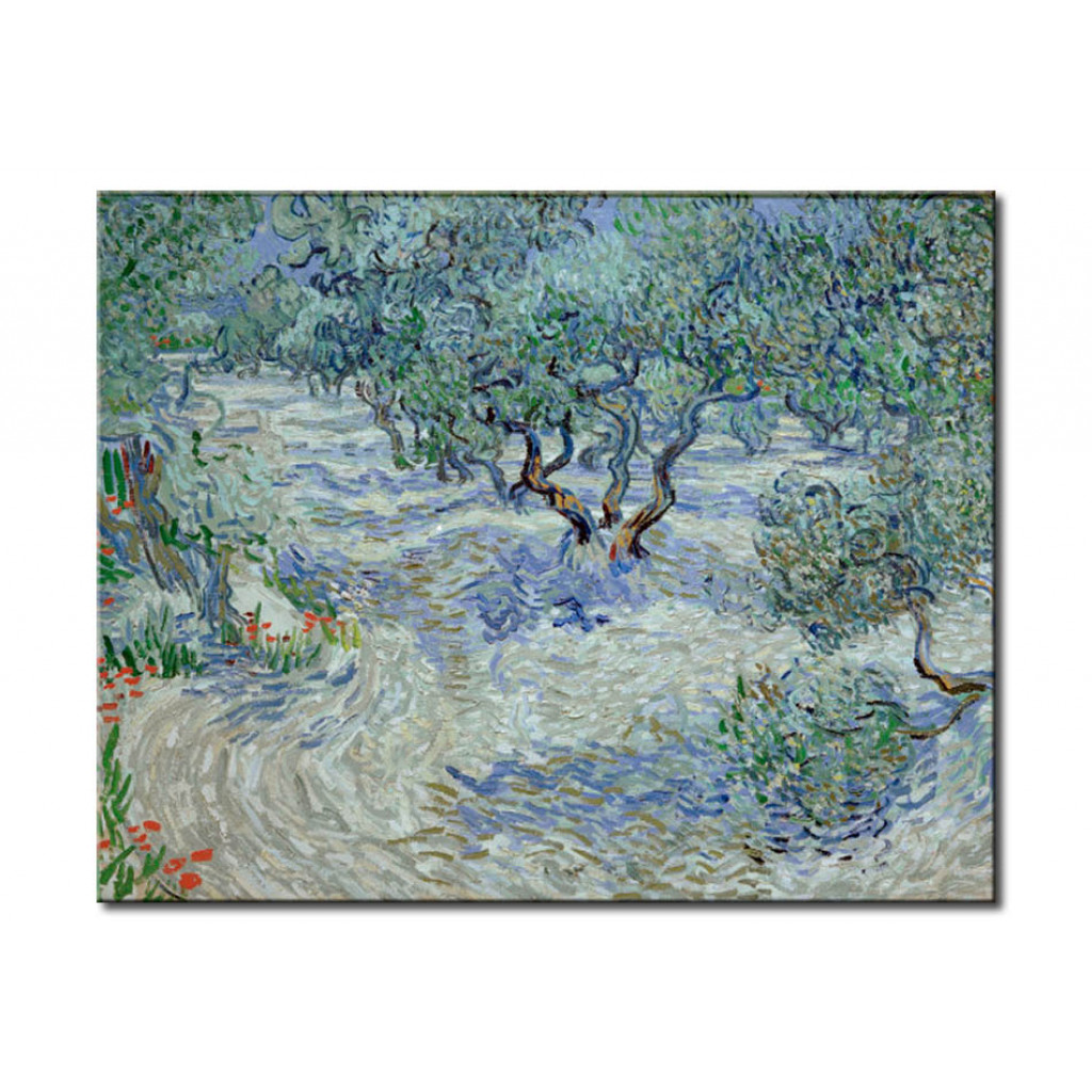 Schilderij  Vincent Van Gogh: Olive Grove