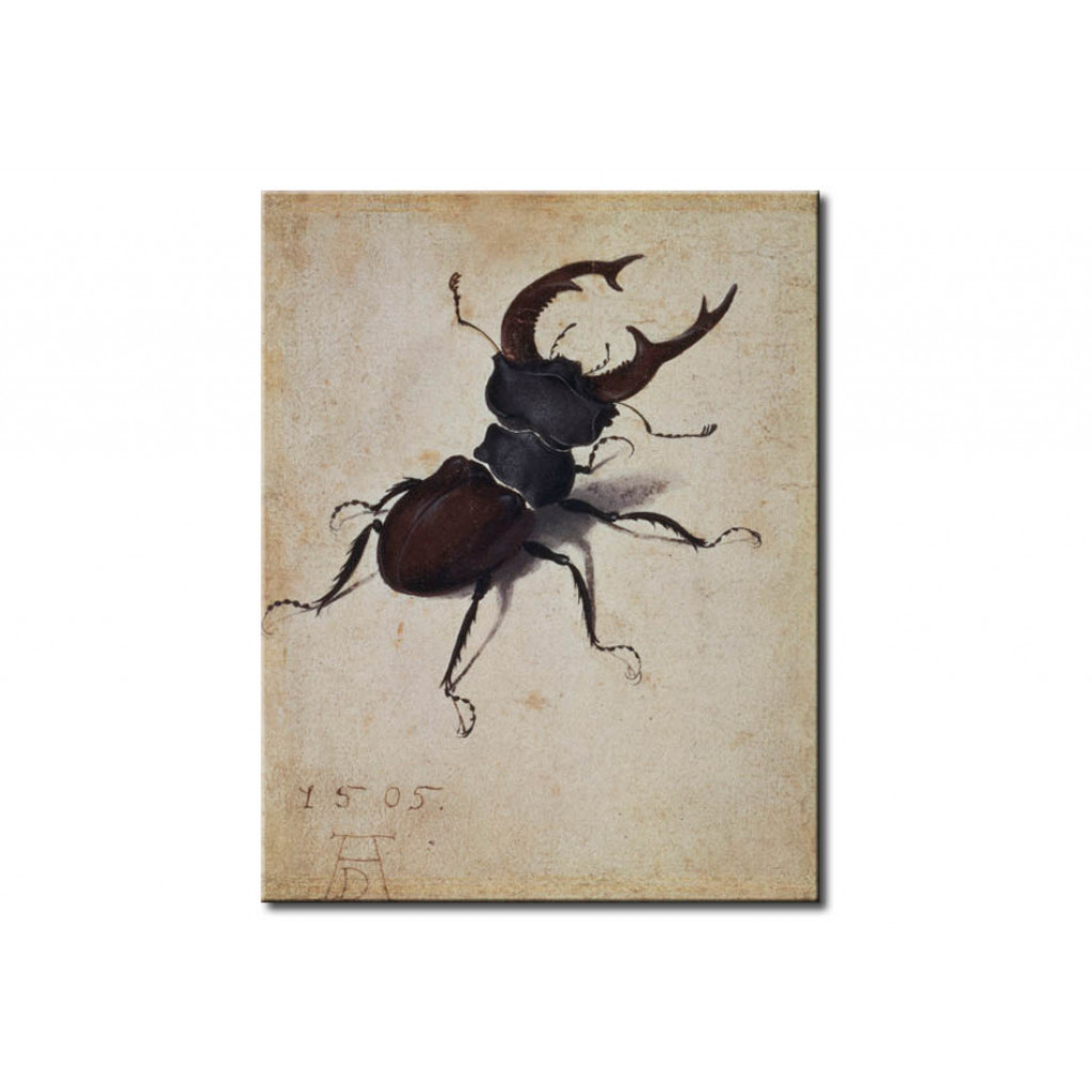 Canvastavla Stag Beetle
