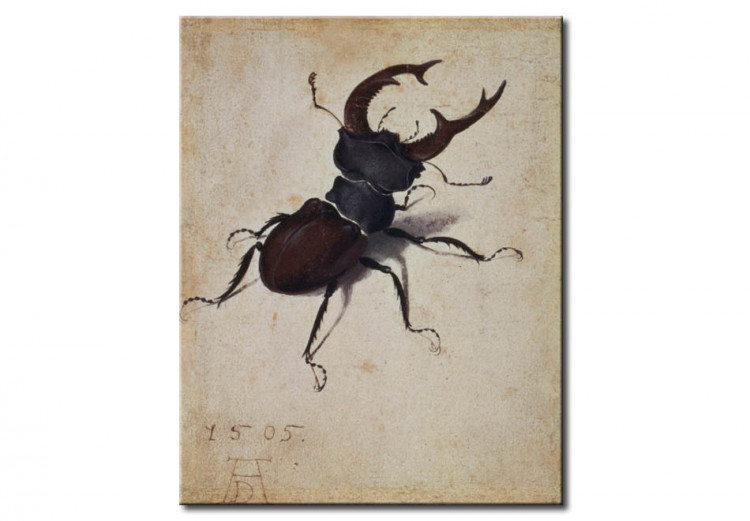 Quadro famoso Stag beetle 53776