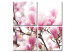 Canvas Art Print Blooming magnolia tree 58776