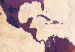 Tablero decorativo en corcho Colorful World Map [Cork Map] 107186 additionalThumb 5