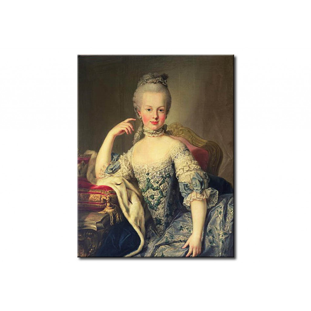 Schilderij  Martin Van Meytens: Archduchess Marie Antoinette Habsburg-Lotharingen