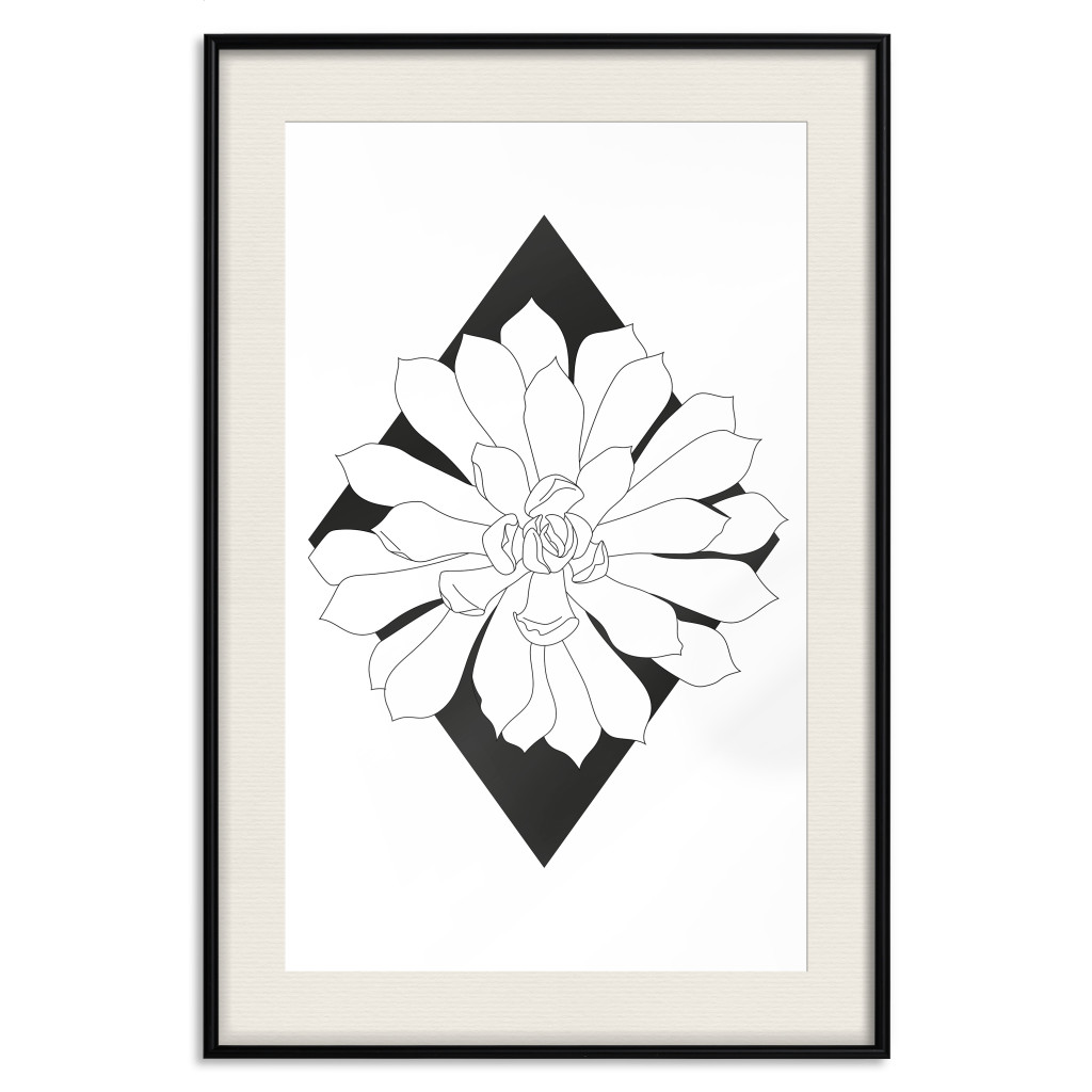 Posters: Succulent In A Diamond [Poster]