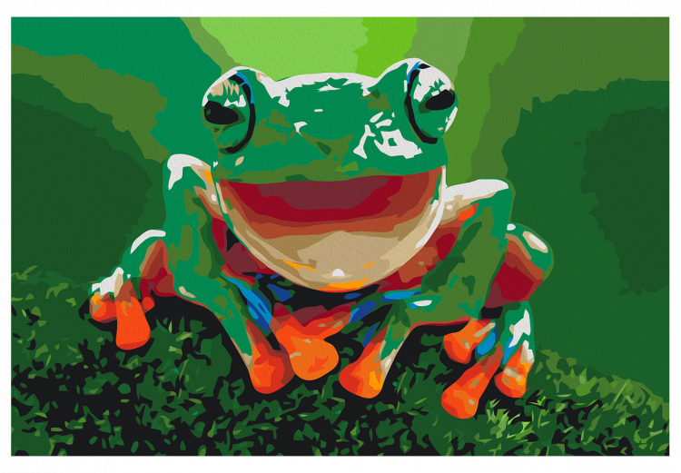 Cuadro para pintar por números Laughing Frog 127486 additionalImage 7