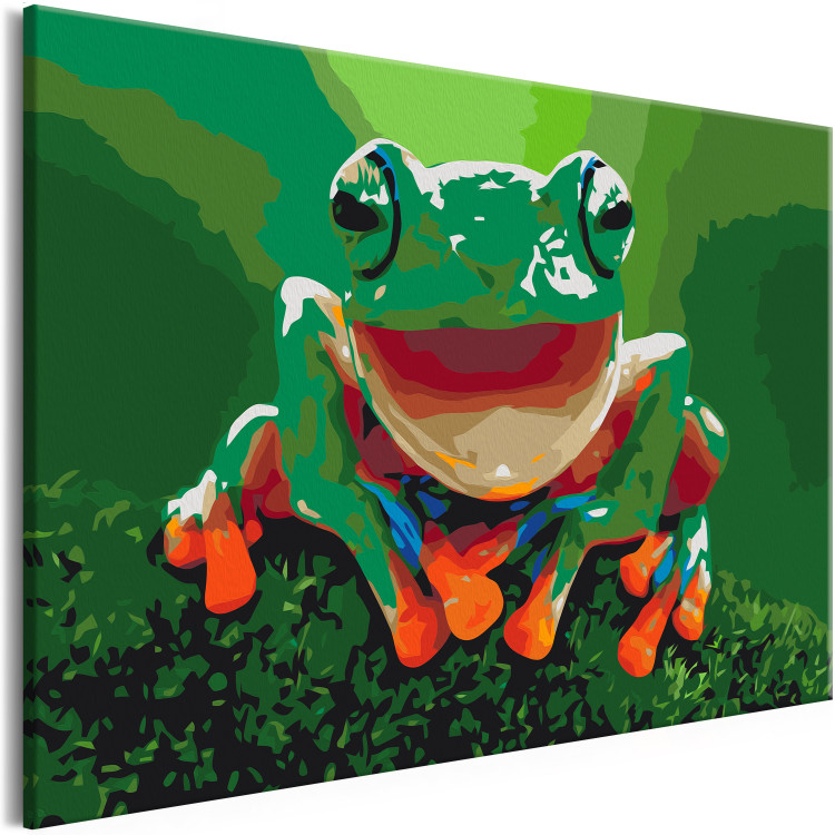 Obraz do malowania po numerach Roześmiana żaba 127486 additionalImage 4