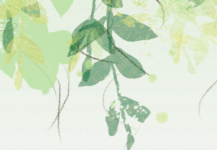 Foto Tapete Unter der Vegetation - Ranken mit Blättern auf neutralem Hintergrund 142586 additionalImage 3