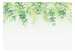 Foto Tapete Unter der Vegetation - Ranken mit Blättern auf neutralem Hintergrund 142586 additionalThumb 1