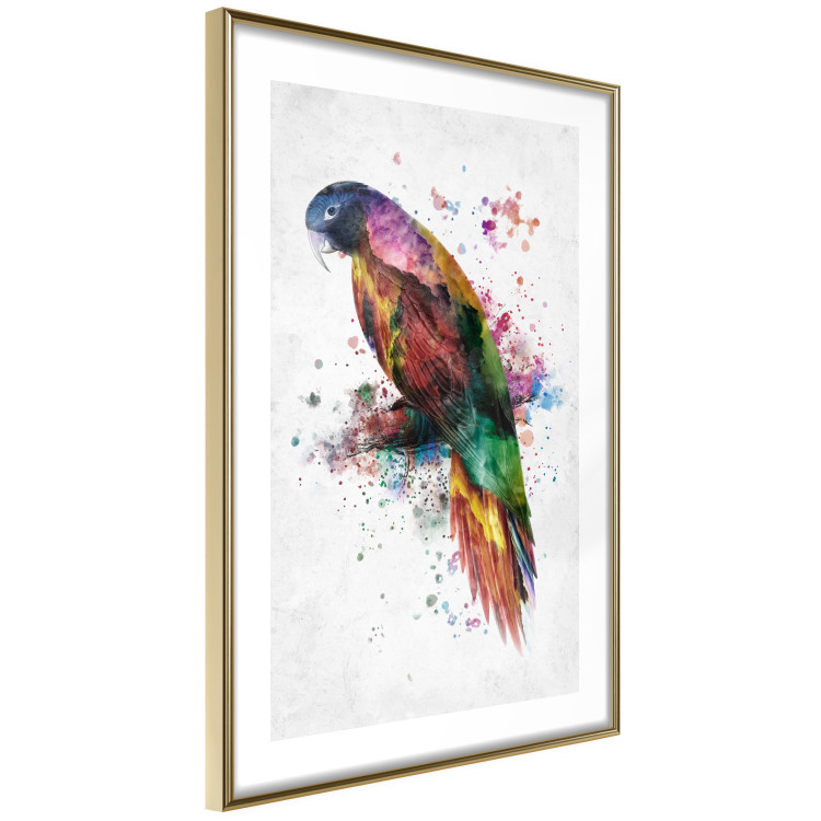 Wall Poster Rainbow Parrot - Colorful Bird on a Branch Painted With Watercolors 145186 additionalImage 8