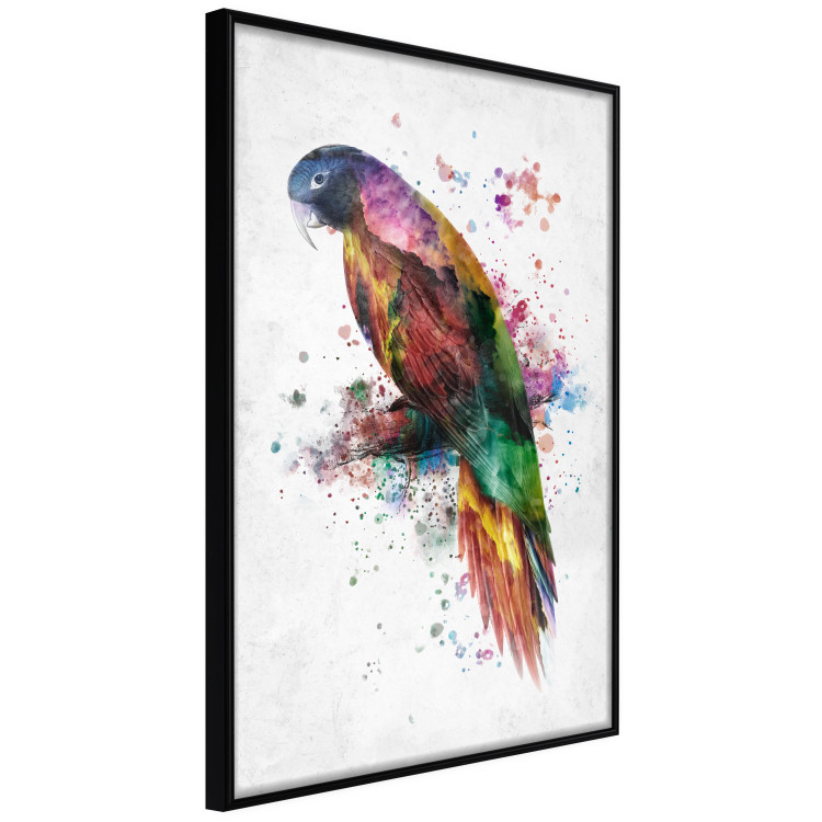 Wall Poster Rainbow Parrot - Colorful Bird on a Branch Painted With Watercolors 145186 additionalImage 5