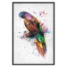 Wall Poster Rainbow Parrot - Colorful Bird on a Branch Painted With Watercolors 145186 additionalThumb 16
