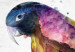 Wall Poster Rainbow Parrot - Colorful Bird on a Branch Painted With Watercolors 145186 additionalThumb 4