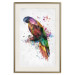 Wall Poster Rainbow Parrot - Colorful Bird on a Branch Painted With Watercolors 145186 additionalThumb 26