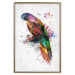 Wall Poster Rainbow Parrot - Colorful Bird on a Branch Painted With Watercolors 145186 additionalThumb 18