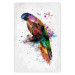 Wall Poster Rainbow Parrot - Colorful Bird on a Branch Painted With Watercolors 145186