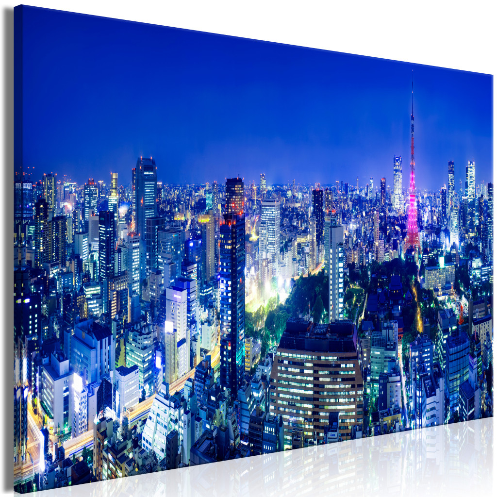 Duży Obraz XXL Tokio: Nowoczesne Miasto [Large Format]