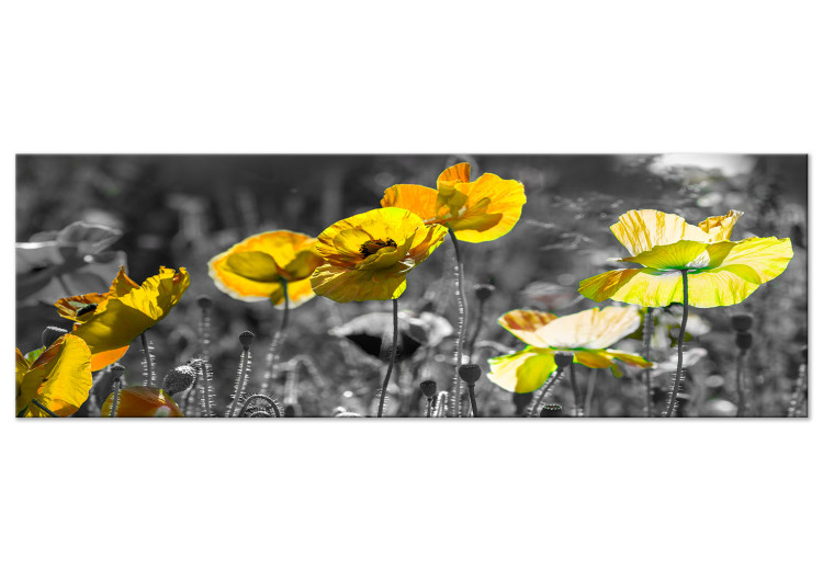 Canvastavla Yellow Poppies (1 Part) Narrow 149986