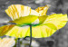 Canvastavla Yellow Poppies (1 Part) Narrow 149986 additionalThumb 4
