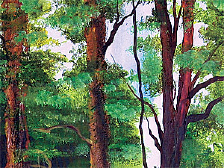 Tableau sur toile Esprit de la forêt  49586 additionalImage 2