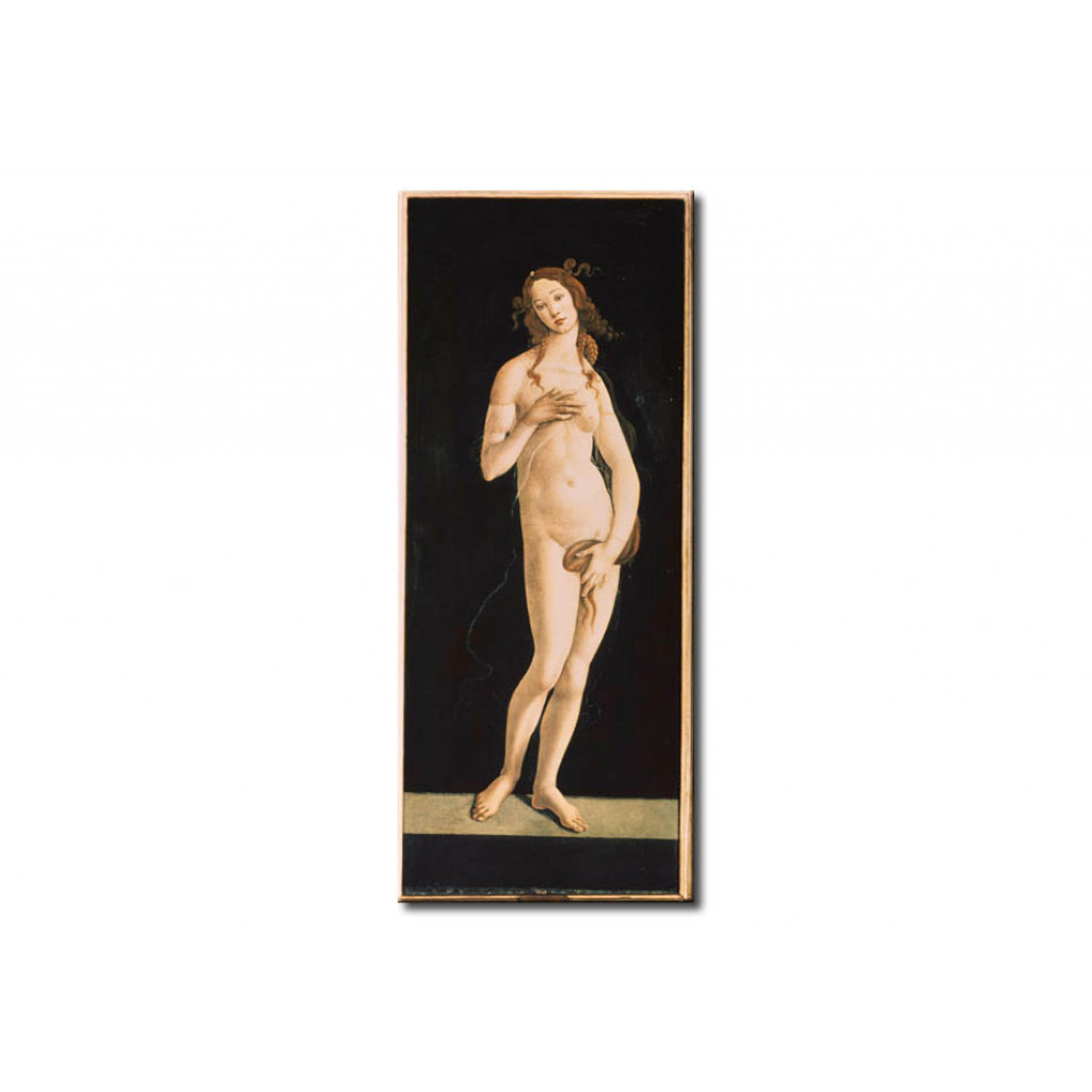 Schilderij  Sandro Botticelli: Venus