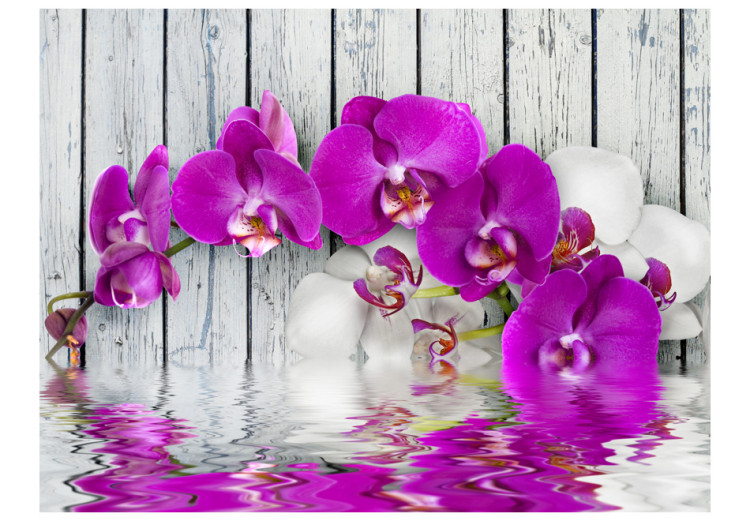 Fotomural Composição Vegetal com Madeira - flores de orquídea sobre a superfície da água 60186 additionalImage 1