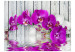 Fotomural Composição Vegetal com Madeira - flores de orquídea sobre a superfície da água 60186 additionalThumb 1