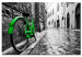 Obraz Vintage Green Bike 92086