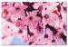 Wandbild zum Malen nach Zahlen Lily Branches 117196 additionalThumb 6