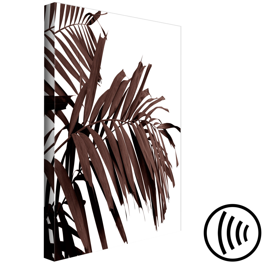 Obraz Suche Liście Palmy - Brązowe Liście Tropikalnego Drzewa Na Białym Tle