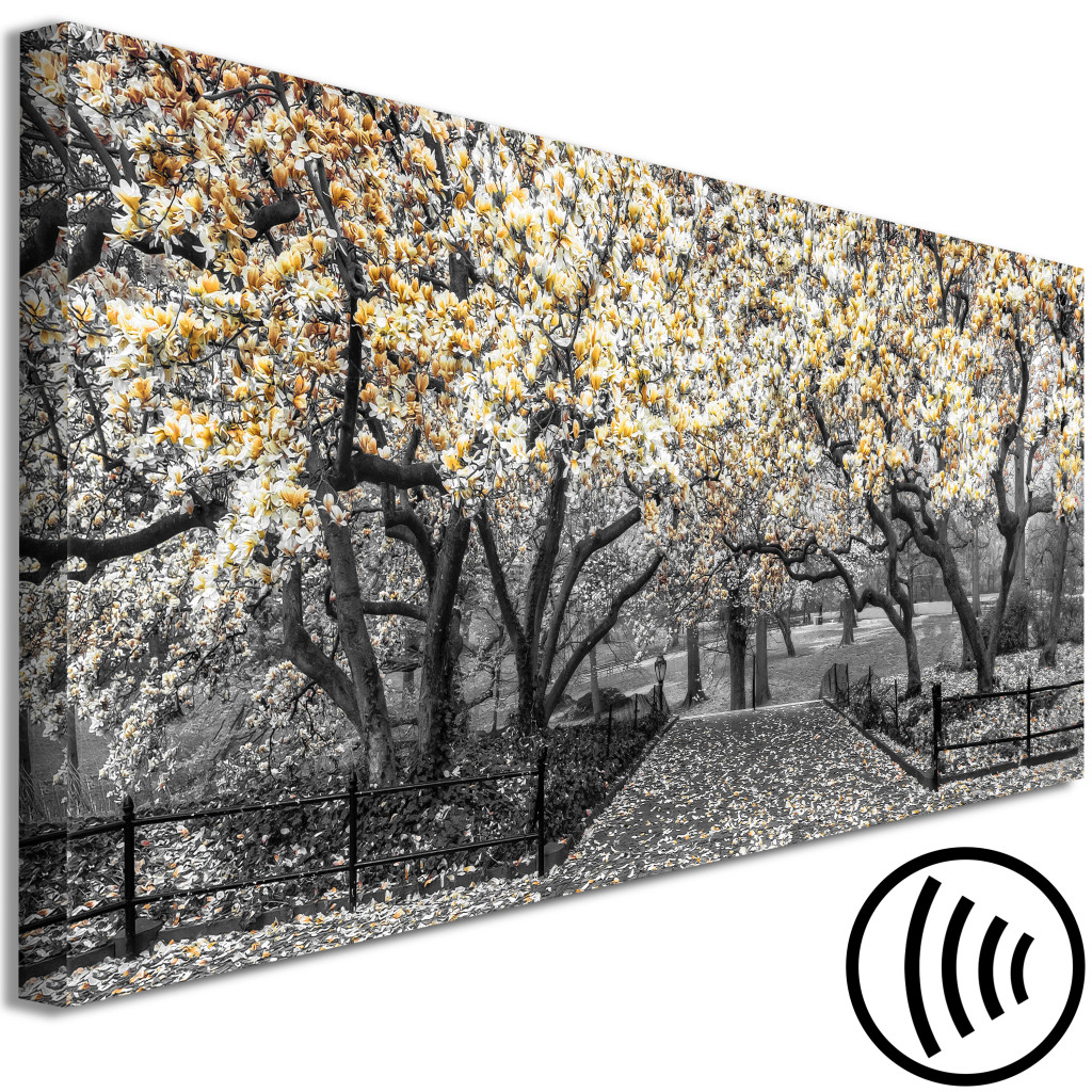 Obraz Kwitnące Magnolie - Pozioma Kompozycja Z Magnolią W Odcieniach żółci