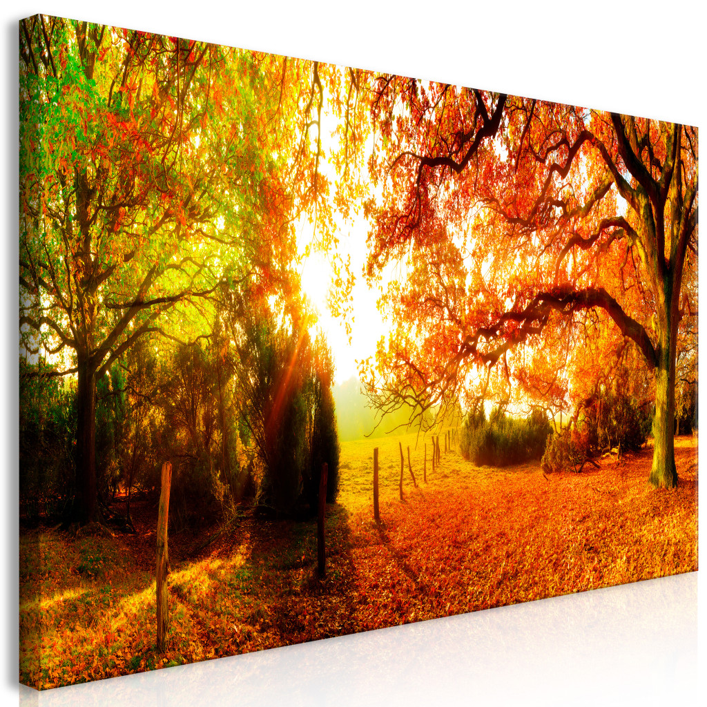 Schilderij Enchanting Autumn II [Large Format]