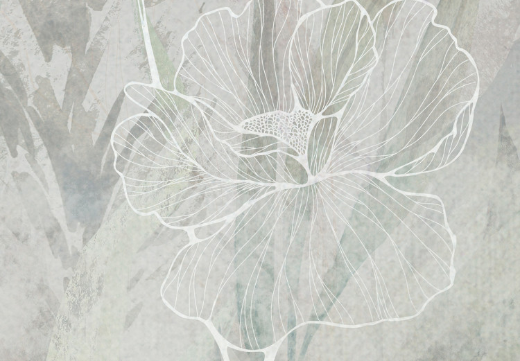 Fototapet Boho-Style Garden - Airy Flowers and Grasses in Grays and Greens 144696 additionalImage 4