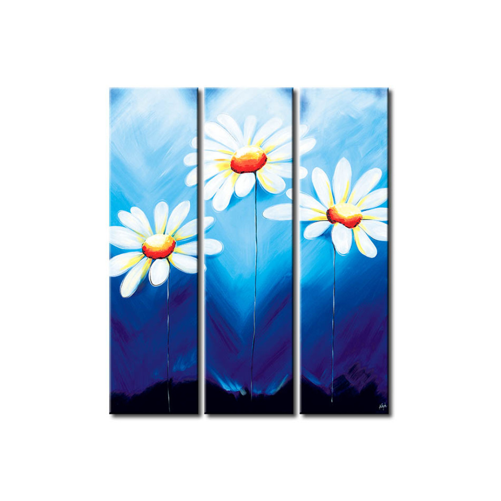 Schilderij  Madeliefjes: Madeliefjes (3-delig) - Compositie Van Witte Bloemen Op Een Blauwe Achtergrond