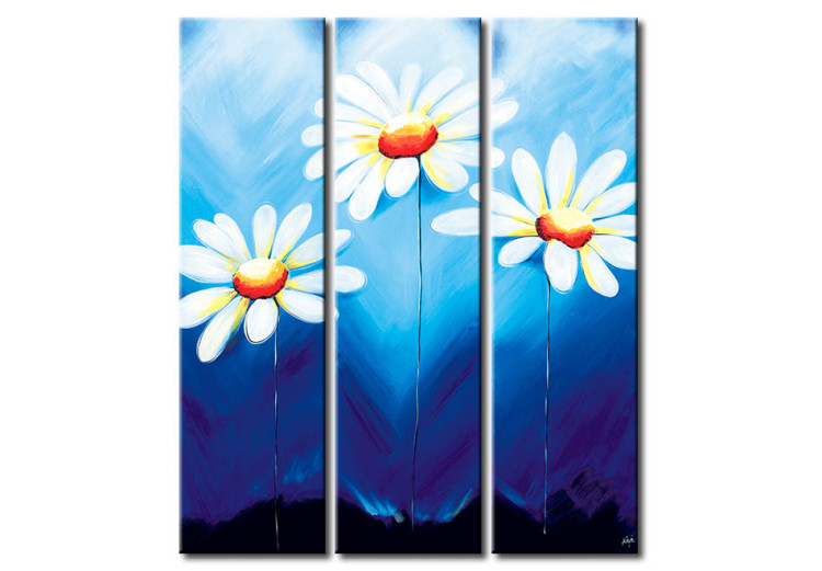 Cuadro moderno Margaritas (3 piezas) - composición de flores blancas en fondo azul 48596