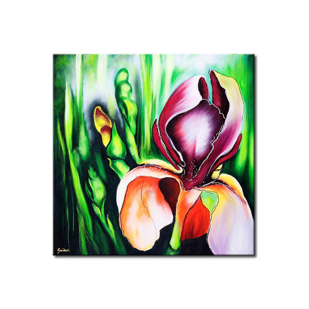 Schilderij  Andere Bloemen: Iris