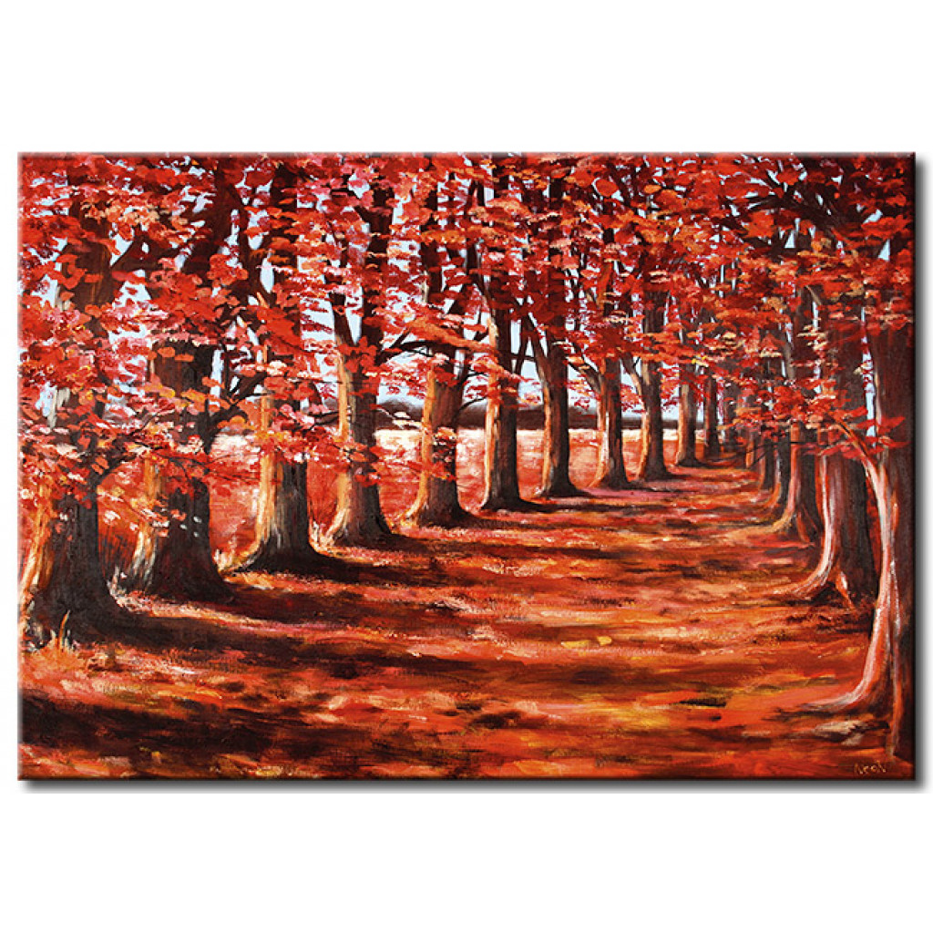 Obraz Jesienna ścieżka - Leśny Krajobraz Pełen Liści I Ciepłych Barw