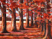 Leinwandbild Herbstpfad - eine Waldlandschaft voller Blätter und warmer Farben 49596 additionalThumb 3