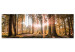 Wandbild Wald am Morgen 64596
