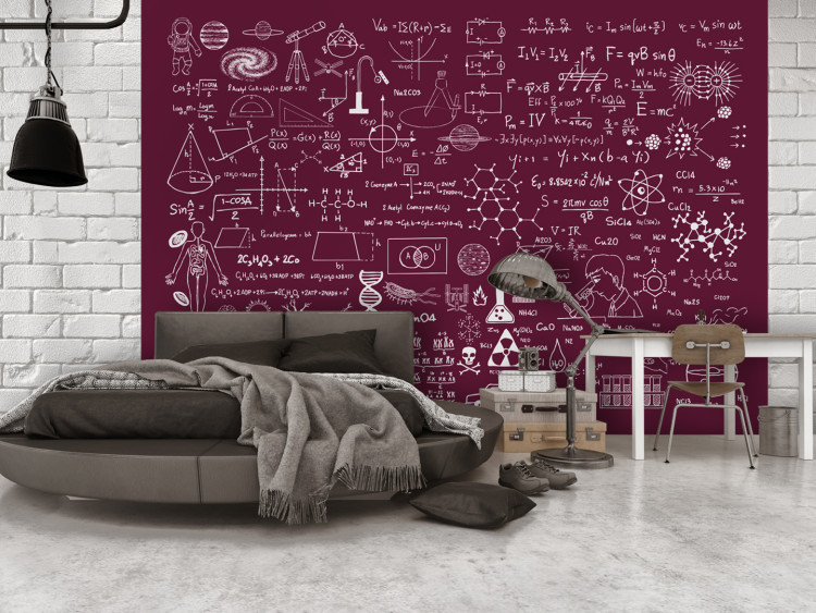 Mural de parede A ciência em poucas palavras - motivo gráfico com desenhos e inscrições científicas