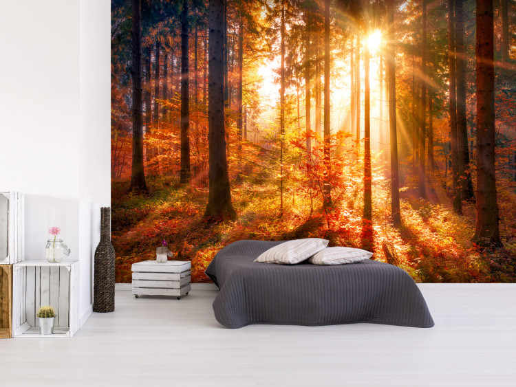 Wall Mural Autumnal Time