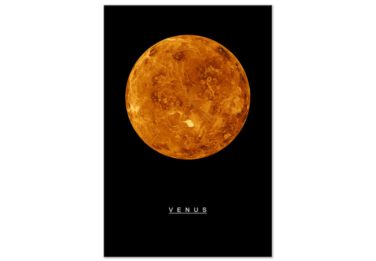 Quadro em tela Venus (1 Part) Vertical
