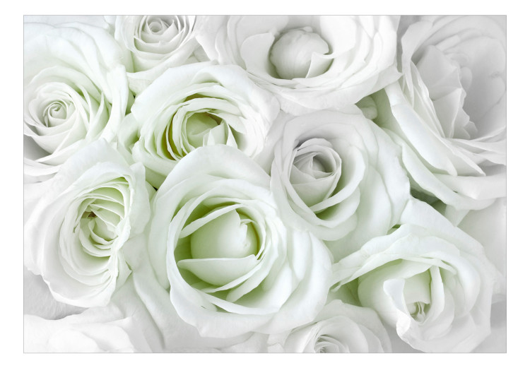 Carta da parati moderna Rose bianche - sfondo pieno di fiori bianchi 123107 additionalImage 1