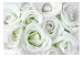 Carta da parati moderna Rose bianche - sfondo pieno di fiori bianchi 123107 additionalThumb 1