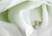 Carta da parati moderna Rose bianche - sfondo pieno di fiori bianchi 123107 additionalThumb 3