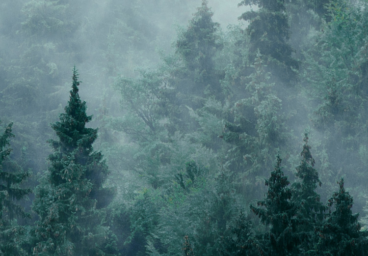 Mural Mountain Forest (Dark Green) 126807 additionalImage 4