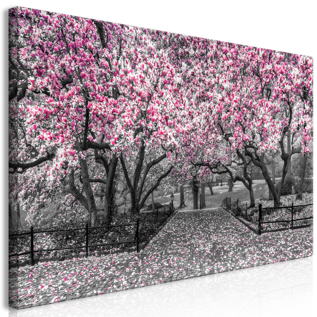 Duży Obraz XXL Park Magnolii - Różowy II [Large Format]
