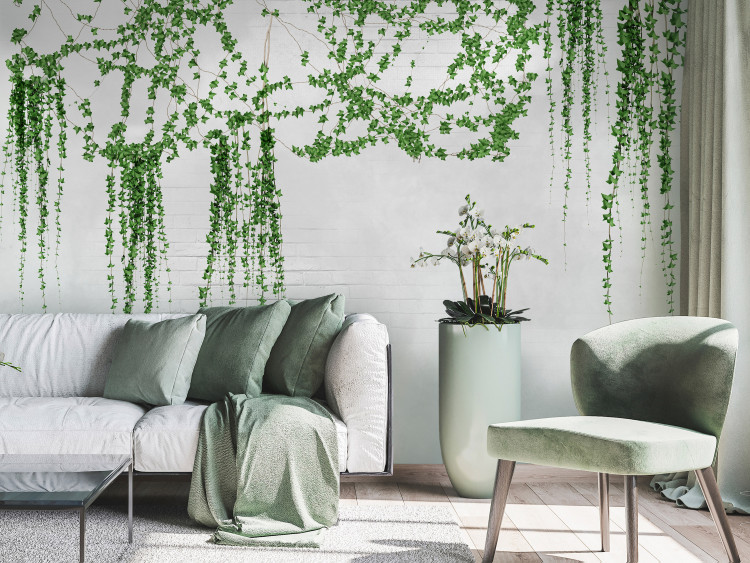Fototapeta Bluszcz - pejzaż z roślinami na tle o teksturze białego muru z cegły