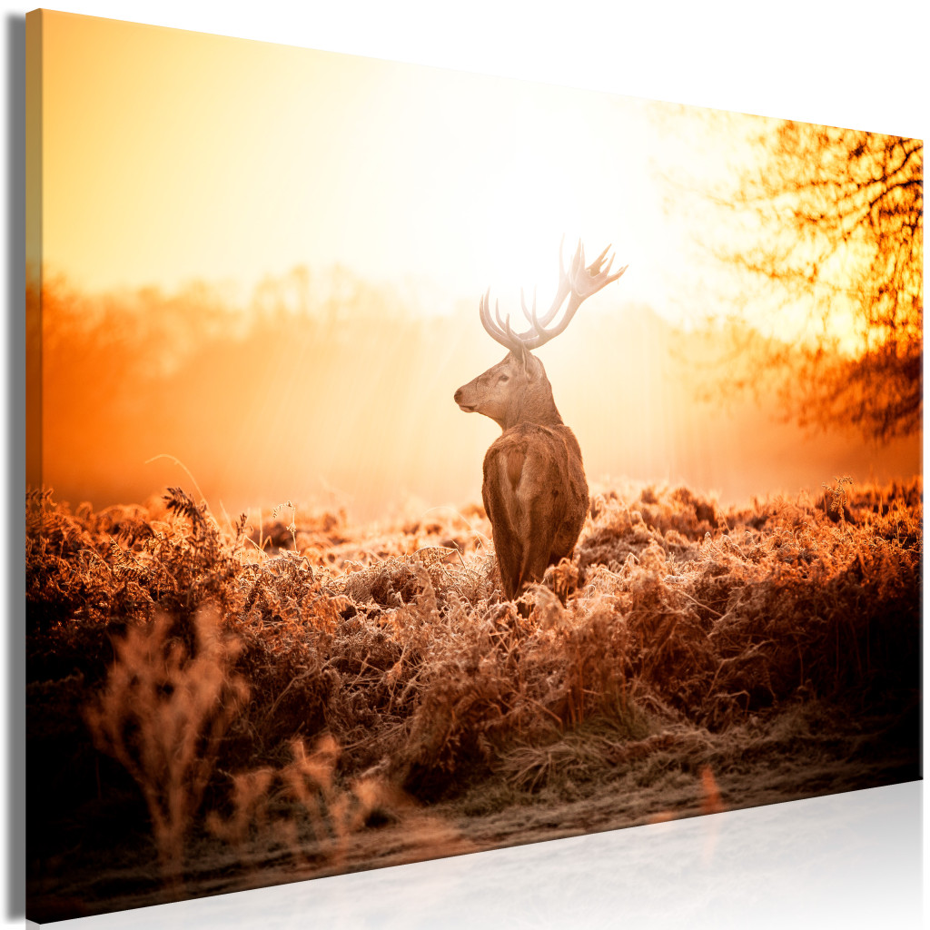 Schilderij Deer At Sunset [Large Format]